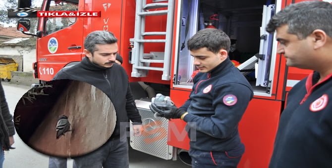 Çatıda asılı kalan güvercini itfaiye kurtardı
