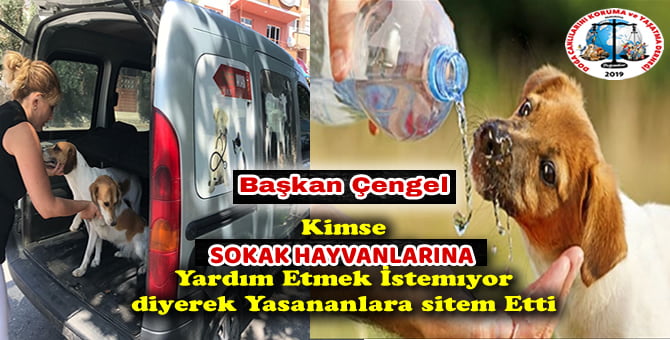 Başkan Çengel’den Yaşananlara Sitem..