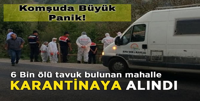 f931fe37408d474d7cb9728c0c47662b