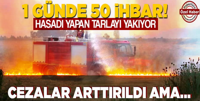 Geleceğimizi yakıyoruz!..