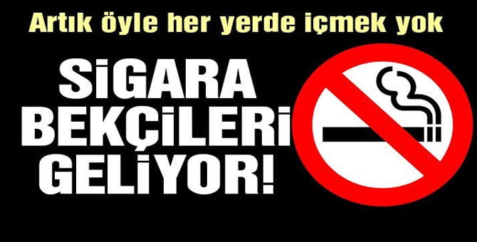 71200760_677710115971981_3013050657725743104_n