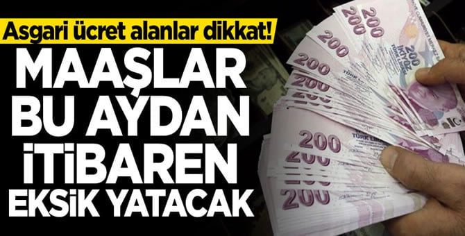 71788763_2201176776650355_3352216425430253568_n