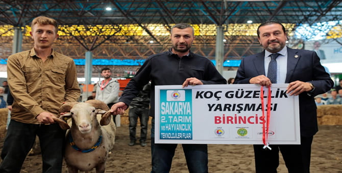 Hendek’de En Güzel “Koç, Teke ” Seçildi..