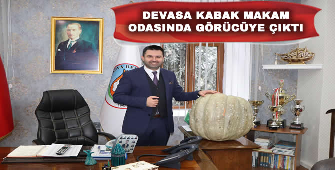 Dev Balkabağı Makam Odasında Görücüye Çıktı..