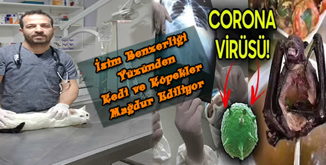 Sadece isimleri Benziyor..