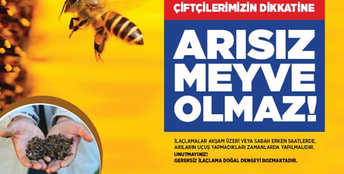 Çiftçiler Dikkat! Arısız Meyve Olmaz..