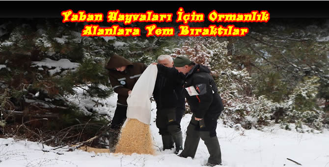 Yaban Hayvanları İçin Doğaya Yem Bırakıldı..