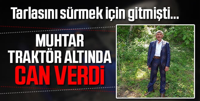 Tarlasını sürmek için gitmişti…
