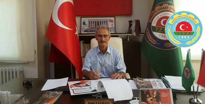 kapak