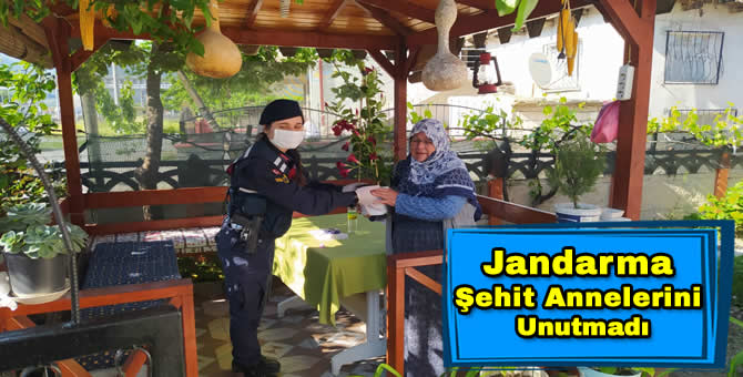Jandarma Şehit Annelerinin Anneler Gününü kutladı…