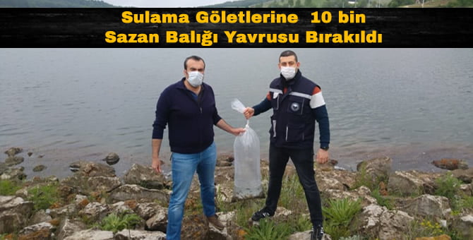 20200601_2_42734742_55522180_Kucuk