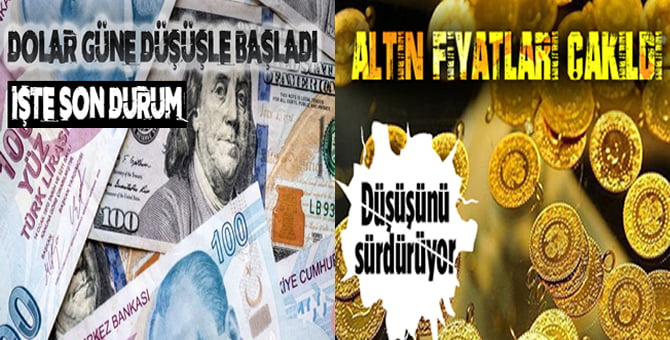 dolar_735_ten_islem_goruyor_h57599_8ab42