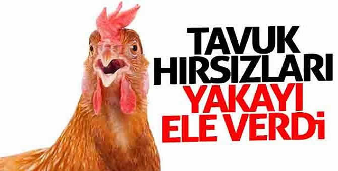 Kümese dadanan çocuk hırsızlar yakalandı…