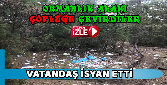 Ormanı Çöplüğe Çevirdiler!..