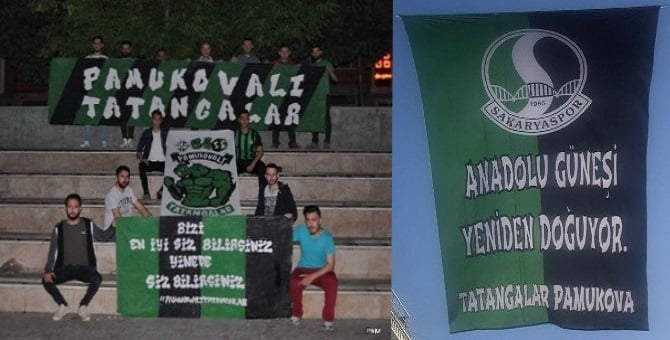 Pamukovalı tatangalar