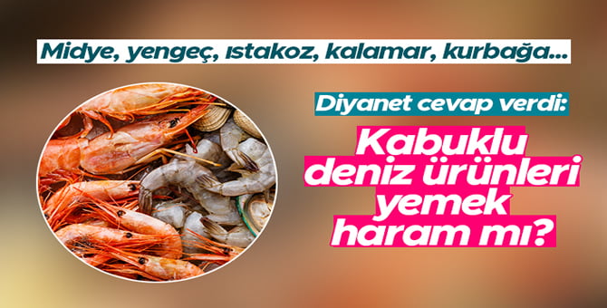 Diyanet’ten kabuklu deniz canlıları için fetva..