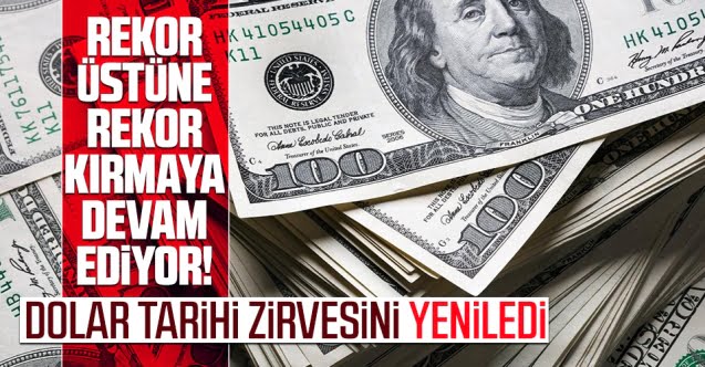 dolar_tarihi_zirvesini_yeniledi_h70306_e4349