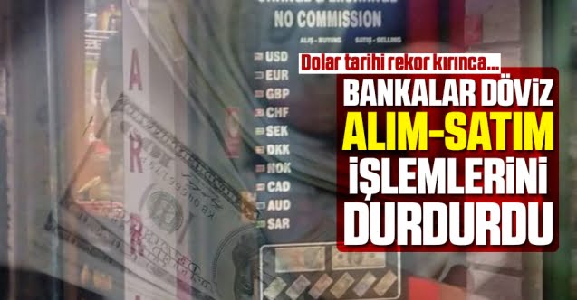bankalar_doviz_alim_satim_islemlerini_durdurdu_h73444_e0208