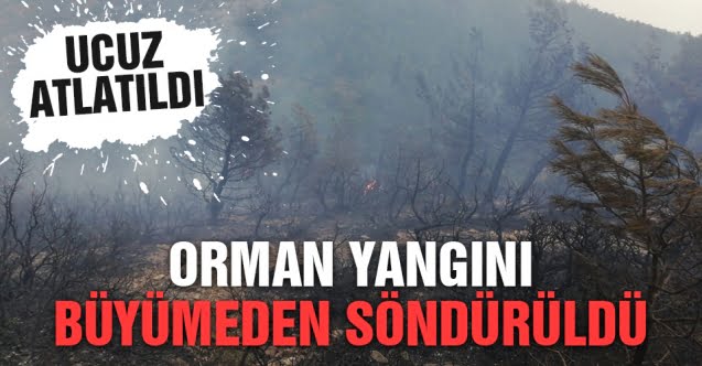 Geyve’de Orman Yangını…