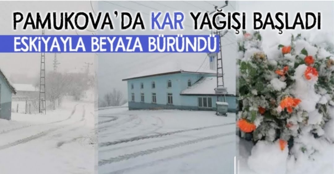 Pamukova’da kar yağışı başladı…