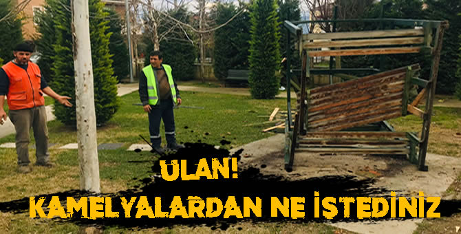 Pamukova’da  Vandallar yine iş başında..