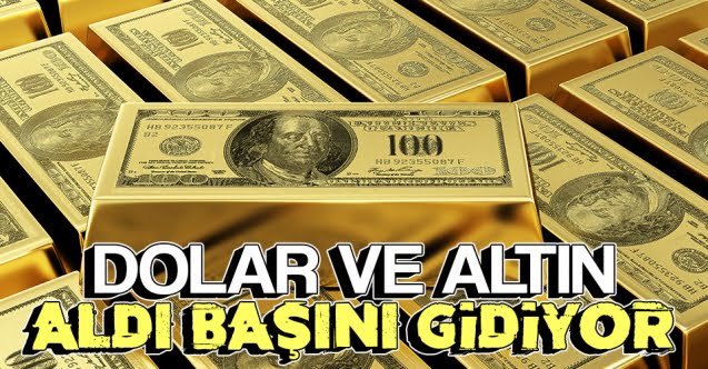 dolar_ve_altin_hizla_yukseldi_h74878_1df08