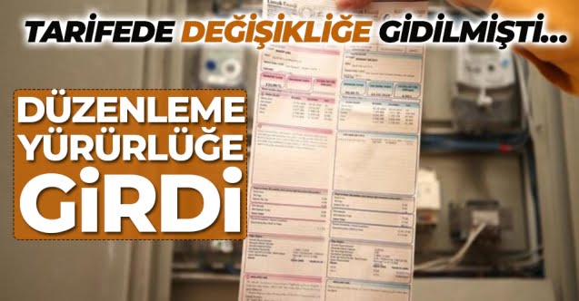 duzenleme_yururluge_girdi_