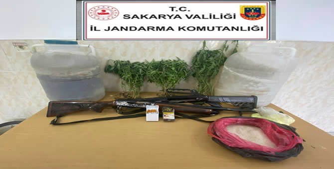 Pamukova’da Yasadışı Kenevir Operasyonu..