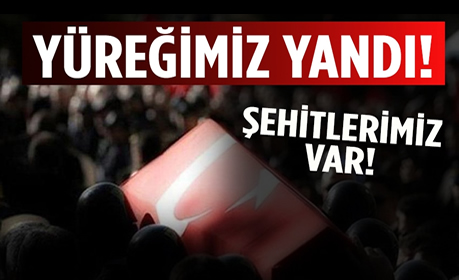 Türkiye’nin bugün 3, son dört ayda 52 şehidi var…
