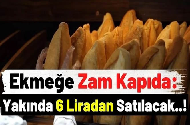 zamm