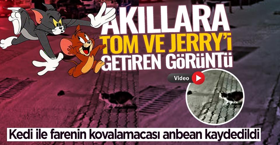 Demokrasi Meydanında Tebessüm Ettiren Anlar..