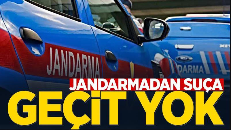 Jandarma suça geçit vermedi!