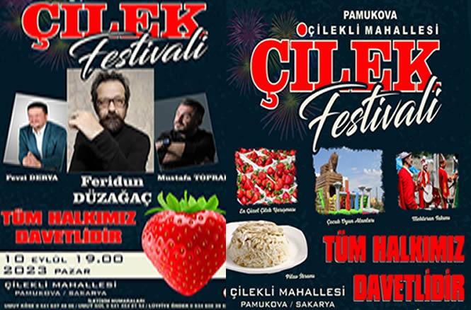 çilek festivali
