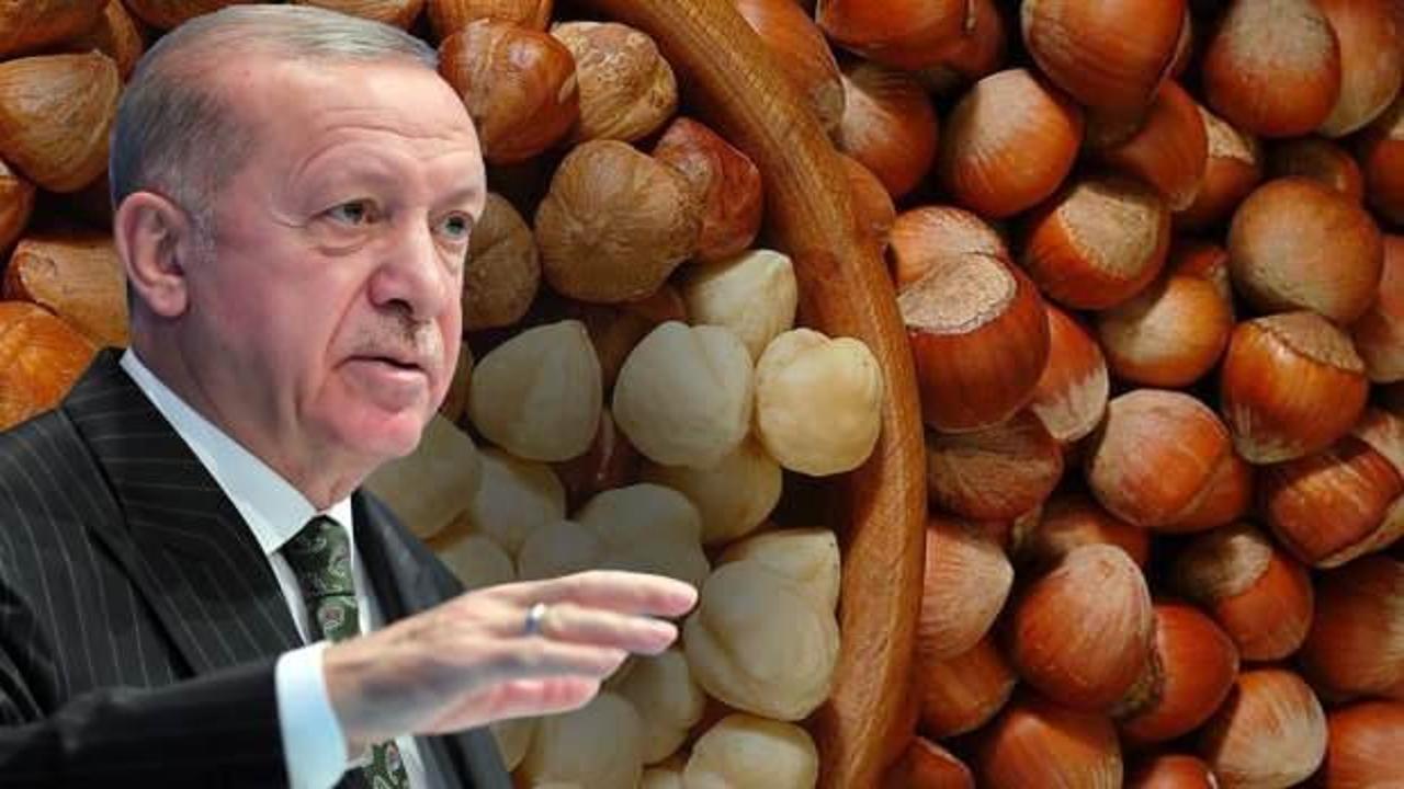 erdoga_findik_fiyatini_aciklayacak_findik_taban_fiyati_ne_kadar_olacak_1659156769_429