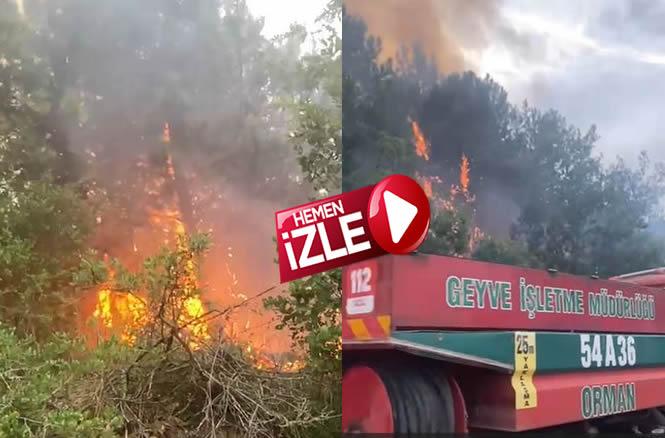 Geyve-Taraklı Yolunda Orman Yangını..