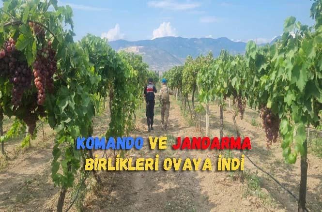 Pamukova’da Jandarma ve Komando Birlikleri Hırsızlara Karşı Teyakkuza Geçti…