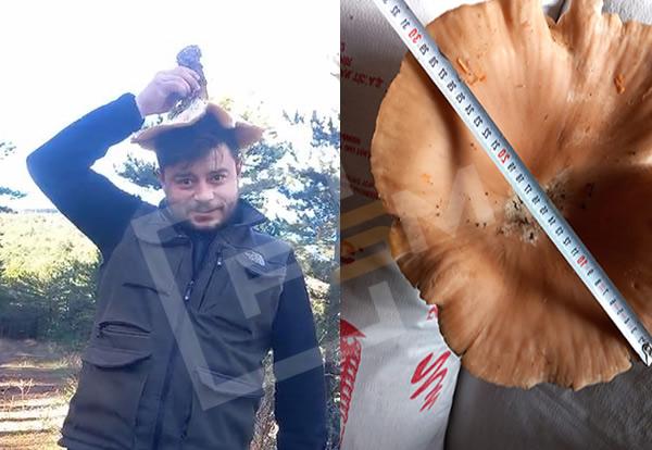 Pamukova’da Bulundu! Lengeli Fötr Şapka Değil; Malkadın Mantarı…