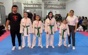 “Pamukova’da Karate Şöleni: 127 Karateci Terfi Aldı!”