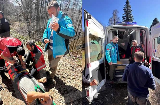 Kaldirik Toplamaya Gittiği Yaylada Ayağını Kırdı!