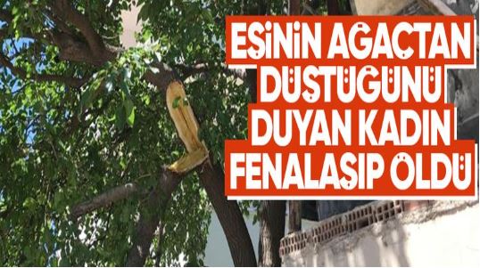 Eşi ağaçtan düşünce kalp krizi geçiren kadın öldü..