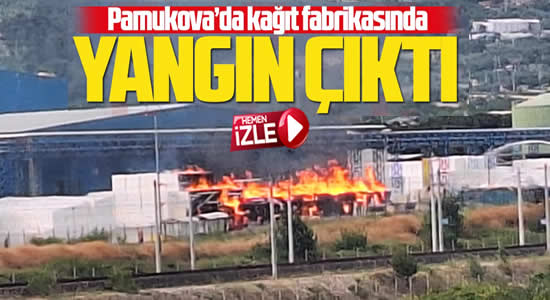 Pamukova’da Kağıt Fabrikasında  Yangın Meydana Geldi..