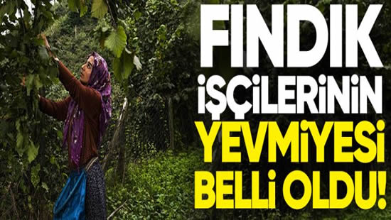 fındık