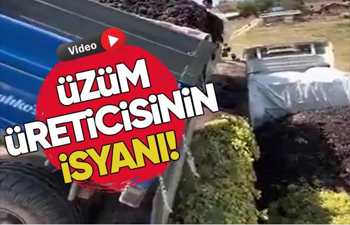 Pamukova’lı Üzüm Üreticisinin İsyanı!