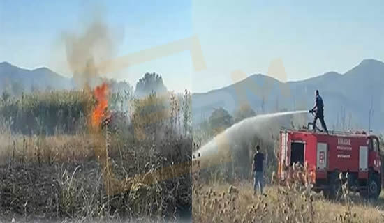 Cihadiye Mahallesi’nde OG Hattından Çıkan Kıvılcımlar Yangına Sebep Oldu!