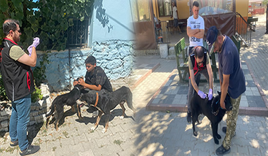 ilçe tarım