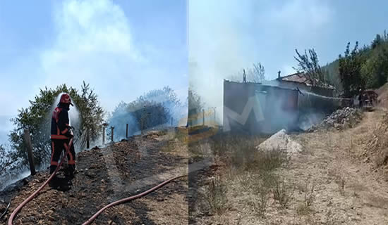 Pamukova’da Samanlık Yangını Bahçeye Sıçradı: Ağaçlar Zarar Gördü!