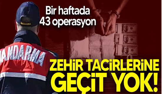 Sakarya Jandarması zehir tacirlerine geçit vermiyor! Bir haftada 43 operasyon..