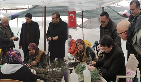kaymakam temurci