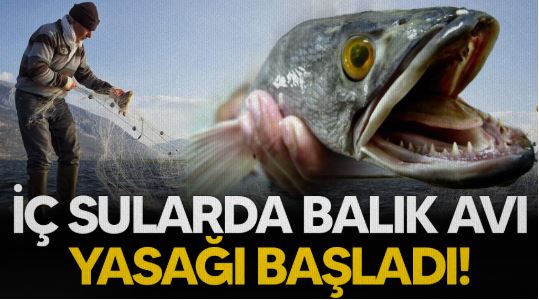 iç sular