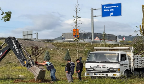 Pamukova Belediyesi’nden Yeşil Hamle! Pamukova Daha Yeşil Bir Geleceğe Yürüyor..